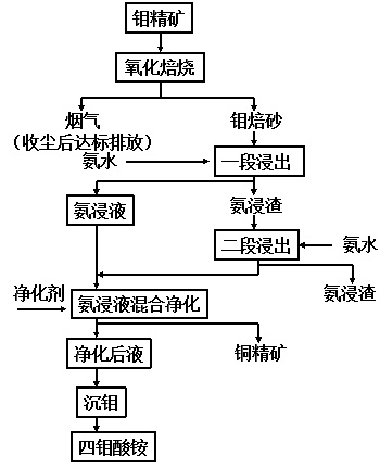 鉬精礦制取四鉬酸銨原則工藝流程圖